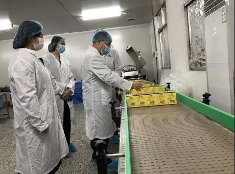 同心抗疫，，，，，确保质量！EVO视讯公司振隆厂外车间接受广药集团生产监视包管小组事情督导